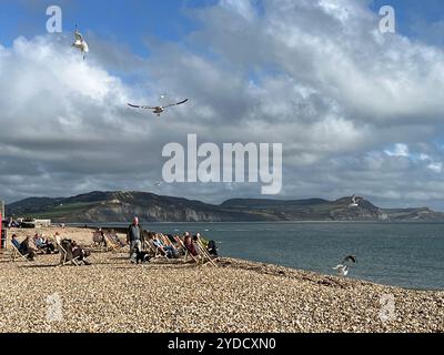 Les gens dans des chaises longues sur la plage de galets à Lyme Regis dans le Dorset, Angleterre. Banque D'Images