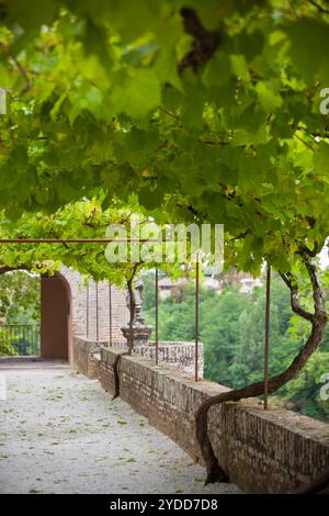 Allée des jardins du Palais de la Berbie à Albi, Tarn, France Banque D'Images