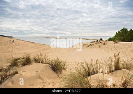 Vue sur le bassin d'Arcachon et de la Duna de Pyla, Aquitaine, France Banque D'Images