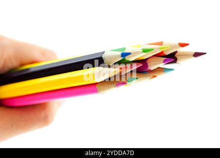 Crayons dans une main sur fond blanc Banque D'Images