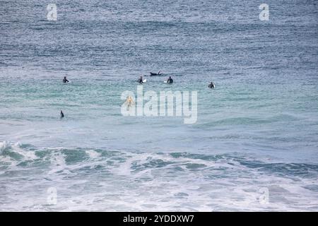 Newquay, Cornwall, 26 octobre 2024, les familles profitaient du temps ensoleillé avec un 14C chaud sur Fistral Beach à Cornwall pendant la moitié du mandat. Les gens marchaient, surfaient et profitaient généralement du soleil. La plage est célèbre car les gens voyagent de partout dans le pays pour faire du surf célèbre. Crédit : Keith Larby/Alamy Live News Banque D'Images