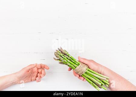 Asperges vertes fraîches dans les mains de la femme Banque D'Images