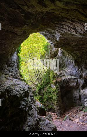 Diversité naturelle pittoresque de Mullerthal, la petite Suisse luxembourgeoise, itinéraires de randonnée, formations rocheuses, forêts couvertes de mousse, destination touristique en E. Banque D'Images