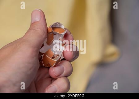 Coquilles d'oeufs cassées dans la main, recyclage des déchets de cuisine, coquilles d'oeufs écrasées pour le compost et le jardin. Banque D'Images