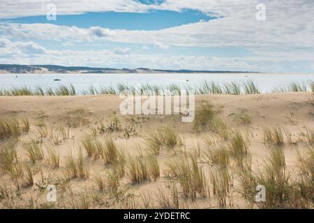 Vue sur le bassin d'Arcachon et de la Duna de Pyla, Aquitaine, France Banque D'Images