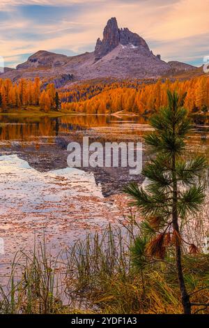 Un lever de soleil d'automne dans les Dolomites au Lago Federa (Lago di Federa, Lago Fedèra, lac Federa), un lac de montagne sous la paroi orientale de Croda da da Lag Banque D'Images