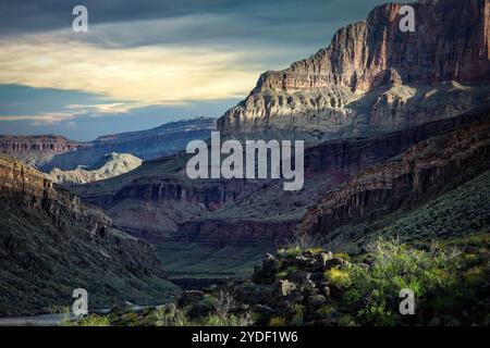 Les parois escarpées du Grand Canyon brillent dans la lumière brisée du soleil de l'après-midi tandis que le fleuve Colorado serpente en dessous. Banque D'Images