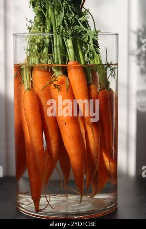 Bouquet de carottes biologiques fraîches dans un vase en verre. Concept d'alimentation saine. Bouquet fait de carottes. Banque D'Images