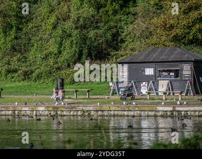 Un homme et un bébé au bord du lac Swanbourne, Arundel regardant les oiseaux et les cygnes Banque D'Images