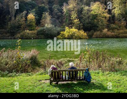 Vue arrière d'un couple âgé assis sur un banc surplombant le lac Swanbourne à Arundel admirant le vew et les couleurs de l'automne Banque D'Images