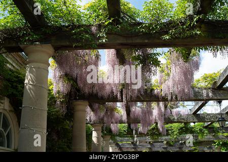 Hever, Royaume-Uni. 17 mai 2024. Château de Hever et les beaux jardins dans le Kent. 'Couvrant plus de 600 ans, l'histoire du château de Hever est riche et variée. Le château défensif médiéval d'origine, avec sa guérite et sa cour fortifiée, a été construit en 1383. Aux XVe et XVIe siècles, c'était la maison de l'une des familles les plus puissantes du pays, les Boleyn, qui modernisèrent l'habitation existante dans les murs. Crédit : Maureen McLean/Alamy Banque D'Images