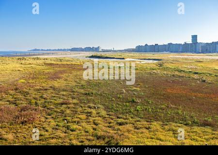 Baai van Heist, réserve naturelle se compose de plage, de dunes, de vasières et de marais salants à Knokke-Heist, Flandre occidentale, Belgique Banque D'Images