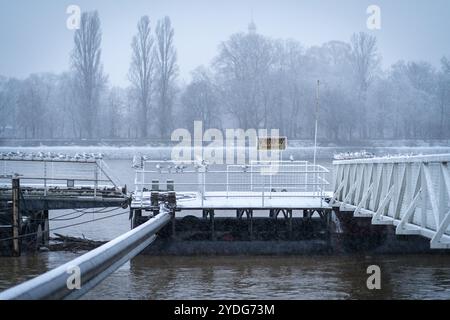 Budapest, Hongrie - 23 décembre 2023 : beaucoup de mouettes debout sur les rails d'un quai de bateau à Budapest Banque D'Images