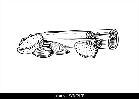 Graines d'amande et bâtons de cannelle pile vecteur illustration isolée dans les couleurs noir et blanc. Noix avec des ingrédients d'assaisonnement illustration monochrome Illustration de Vecteur