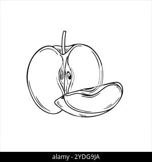 Vecteur noir et blanc moitié de pomme et tranche fruit dessiné à la main illustration de gravure de croquis. Nourriture naturelle organique monochrome plat pour affiche, paquet, Illustration de Vecteur