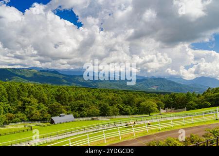 Makiba Park, un ranch pittoresque au sommet d'un plateau de 1 400 mètres (4 600 pieds) dans le groupe volcanique du sud de Yatsugatake dans la préfecture de Yamanashi, au Japon Banque D'Images