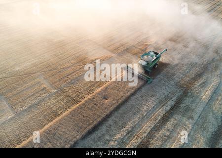 Vue aérienne de la moissonneuse-batteuse dans un champ de blé Banque D'Images