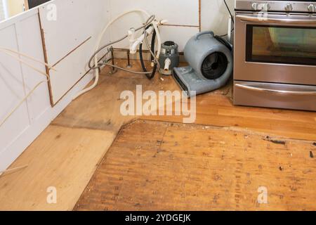 Plancher de bois franc arraché après des dommages causés par l'eau et des dommages aux armoires de cuisine adjacentes. Banque D'Images