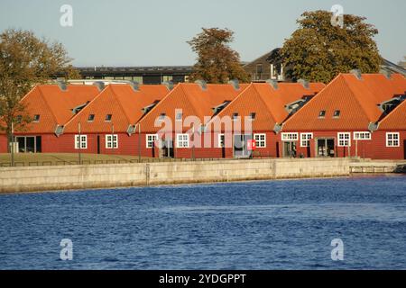 Merveilleux joyaux architecturaux de Copenhague Banque D'Images