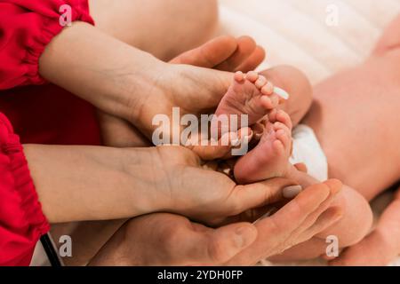 Connexion tendre : les pieds d'un nouveau-né sont placés dans les mains d'un adulte. Banque D'Images