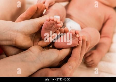 Moment tendre : les pieds du nourrisson bercés dans des mains aimantes. Banque D'Images