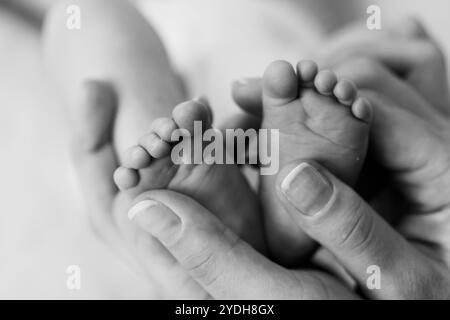 Moment tendre des pieds nouveau-nés bercés dans des mains aimantes. Banque D'Images