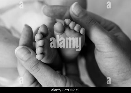 Un moment tendre : les pieds du nouveau-né bercés dans des mains aimantes. Banque D'Images