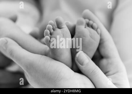 Moment tendre des pieds du nouveau-né bercés dans des mains aimantes. Banque D'Images