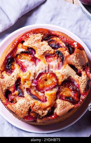 Tarte aux prunes avec garniture et croûte de sucre, saupoudrée de sucre en poudre et de prunes sur une table en bois. Nature morte d'automne, style rustique, mise au point sélective. Banque D'Images