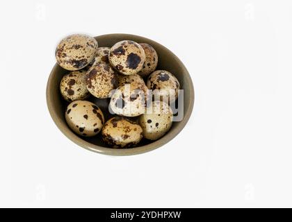 bol en céramique rempli d'œufs de caille mouchetés, chacun présentant un motif unique de taches brunes. Les œufs reposent sur un fond blanc propre, Banque D'Images