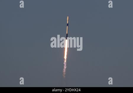 Cap Canaveral, Floride, États-Unis. 26 octobre 2024. Une fusée SpaceX Falcon 9 transportant 22 satellites Starlink décolle du Space Launch Complex-40 à Cape Canaveral Space Force Station, Floride, à 17h47 HAE le 26 octobre 2024 (image crédit : © Jennifer Briggs/ZUMA Press Wire) USAGE ÉDITORIAL SEULEMENT! Non destiné à UN USAGE commercial ! Banque D'Images