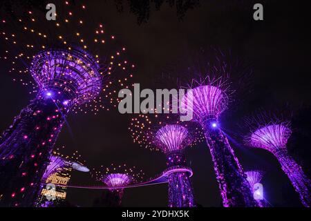 Singapour - 14 août 2024 : spectacle lumineux d'arbres géants au Garden by the Bay la nuit à Singapour. Célèbre monument et populaire pour le tourisme Banque D'Images