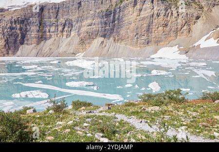 Tout au long de la randonnée sur le glacier Grinnell, vous découvrirez des vues sur des lacs turquoise, des cascades et terminerez la randonnée sur le glacier lui-même. Banque D'Images