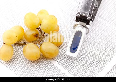 Réfractomètre optique pour mesurer le sucre de raisin dans la production de vin et de spiritueux. Mise au point sélective avec faible profondeur de champ. Banque D'Images