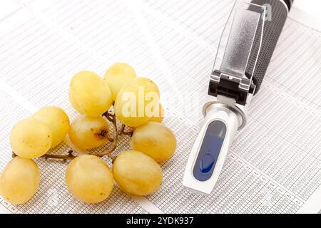 Réfractomètre optique pour mesurer le sucre de raisin dans la production de vin et de spiritueux. Mise au point sélective avec faible profondeur de champ. Banque D'Images