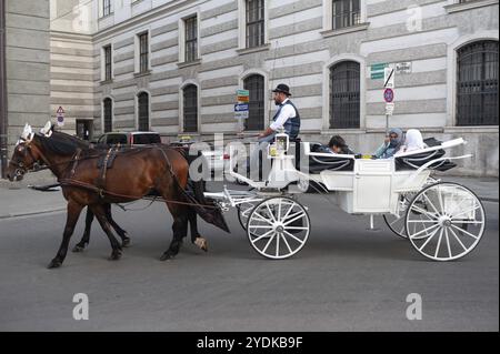 14.06.2019, Vienne, Autriche, Europe, Une calèche fait voyager des touristes arabes à travers la capitale lors d'une visite de la ville dans une calèche, Euro Banque D'Images