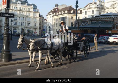 14.06.2019, Vienne, Autriche, Europe, Une calèche hackney conduit les touristes à travers la capitale pour un tour de ville dans une calèche, Europe Banque D'Images