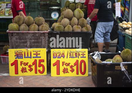 24.02.2019, Singapour, République de Singapour, Asie, Un étal vendant des durians frais dans un marché de rue à Chinatown, Asie Banque D'Images