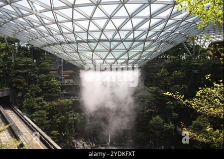 31.01.2020, Singapour, République de Singapour, Asie, Forest Valley avec la cascade HSBC Rain Vortex dans le nouveau terminal Jewel de Changi International ai Banque D'Images