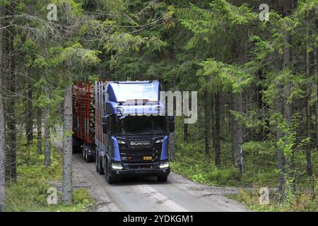 LAUKAA, FINLANDE, 22 SEPTEMBRE 2017 : le camion forestier Blue Scania R650 XT émerge entre les épinettes lors d'un essai routier le long d'une route forestière pendant Scania la Banque D'Images