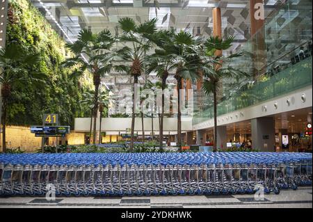 19/11/2019, Singapour, République de Singapour, Asie, chariot à bagages dans le hall des arrivées du terminal 3 de l'aéroport international de Changi, Asie Banque D'Images