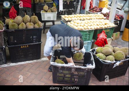 24.02.2019, Singapour, République de Singapour, Asie, Un ouvrier trie des boîtes de durians frais dans un étal de Chinatown, Asie Banque D'Images