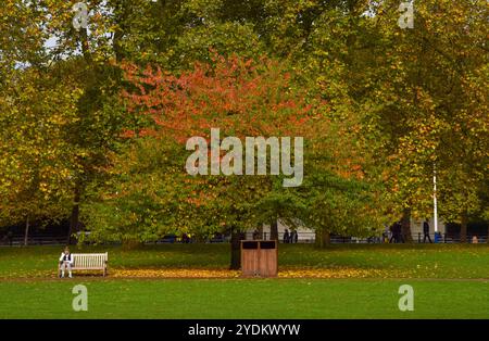 Londres, Angleterre, Royaume-Uni. 26 octobre 2024. Une femme se détend sur un banc sous un arbre à St James's Park alors que les couleurs d'automne remplacent le feuillage vert. (Crédit image : © Vuk Valcic/ZUMA Press Wire) USAGE ÉDITORIAL SEULEMENT! Non destiné à UN USAGE commercial ! Banque D'Images