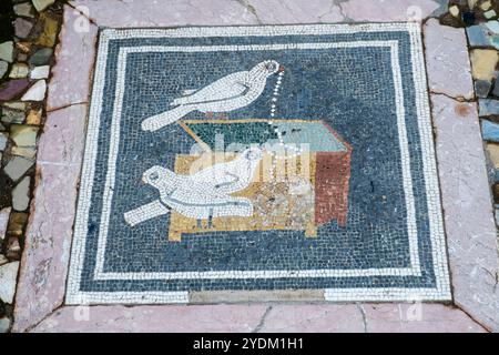 Mosaïque de sol représentant des colombes tirant un collier d'une boîte à bijoux.situé sur le côté ouest de l'atrium, Maison du Faun, Pompéi, Italie Banque D'Images