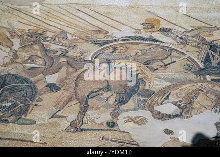 Section d'une mosaïque dans la Maison du Faun, Pompéi, Italie représentant Darius III de Perse essayant de tourner son char pour faire face à Alexandre le Grand. Banque D'Images