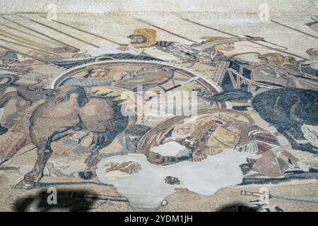 Section d'une mosaïque dans la Maison du Faun, Pompéi, Italie représentant Darius III de Perse essayant de tourner son char pour faire face à Alexandre le Grand. Banque D'Images