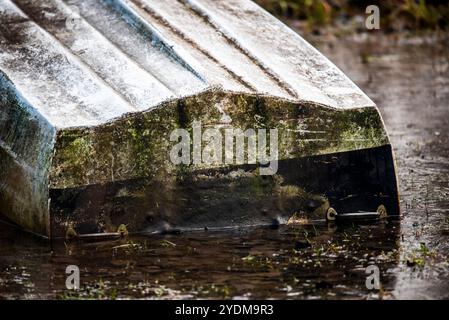 Gros plan de parties de petits bateaux de pêche abandonnés et couverts de mousse dans les eaux gelées du lac Fimon à Vicence Banque D'Images