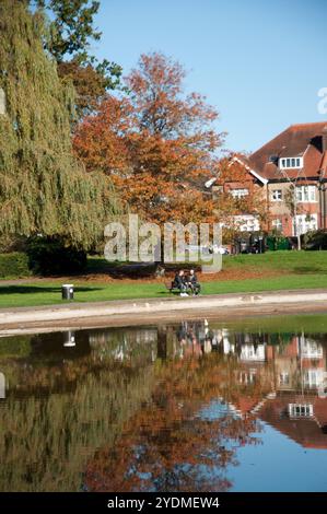 L'hiver arrive, Autumn Glory, Broomfield Park, North London, Angleterre, Royaume-Uni - Banque D'Images