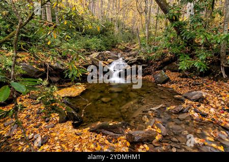 Petite cascade dans la forêt nationale de Pisgah, près de Brevard, Caroline du Nord, États-Unis Banque D'Images