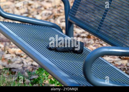 Un gant noir solitaire est placé sur un banc de parc en métal, avec une toile de fond de feuilles d'automne tombées indiquant le changement saisonnier et la tranquillité du Banque D'Images